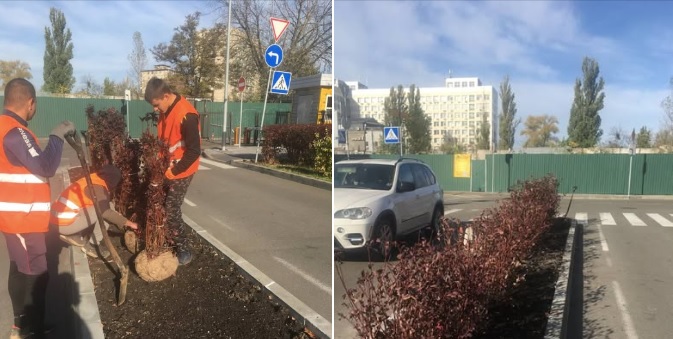 На вул. Ю.Липи розпочались роботи