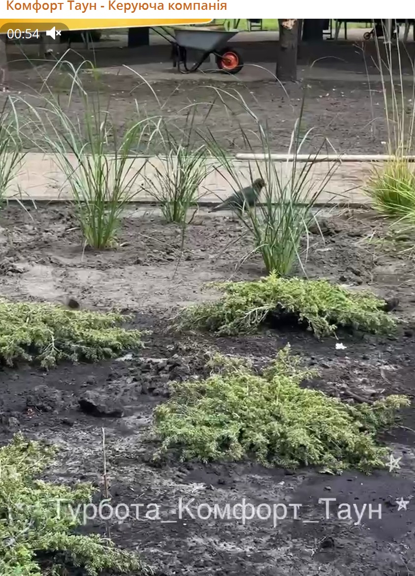 🌿А ви вже встигли помітити, як на Регенераторній змінюється парк?