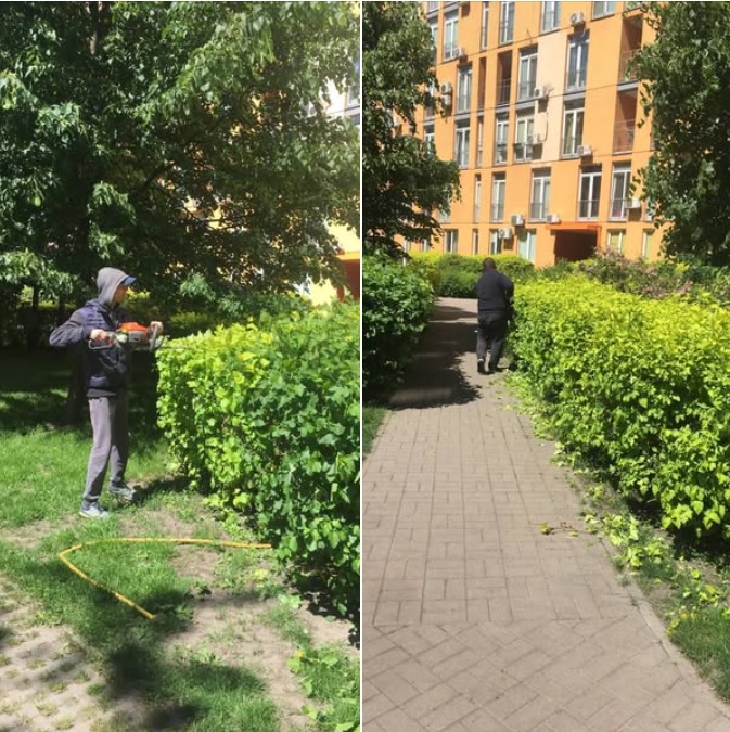 В комплексі тривають роботи з озеленення